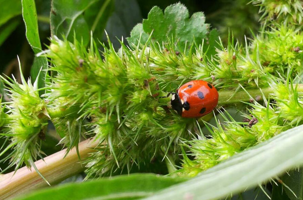 Naturerlebnis für Schulklassen und interessierte Gruppen im Landkreis Altötting